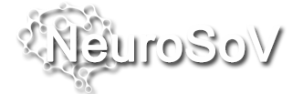 NeuroSoV-logo-white